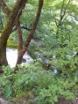 /album/fotogalerij/a2013-07-24-13-48-03-jpg/